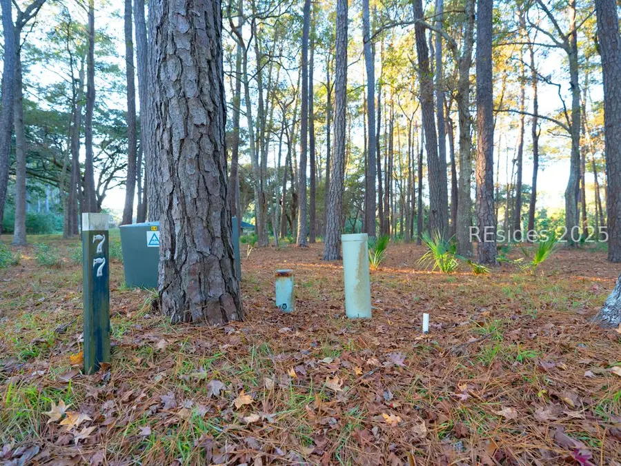 89 Martinangel Lane, Daufuskie Island, SC 29915 - #3