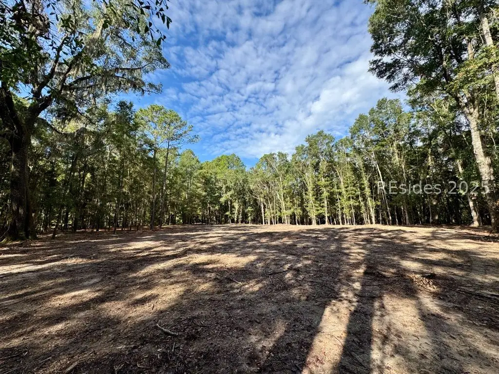 000 Lowcountry Drive, Ridgeland, SC 29936 - Image #1