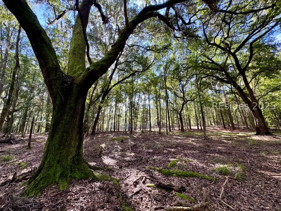 000 Lowcountry Drive, Ridgeland, SC 29936 - Image #2