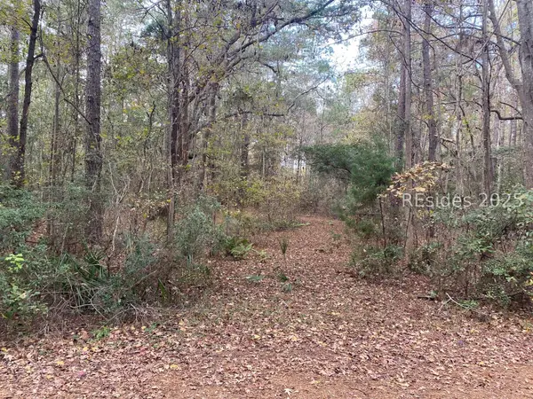 275 Spring Island Drive, Okatie, SC 29909