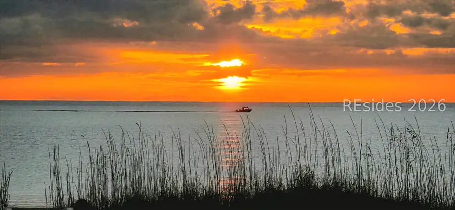 16 Whelk Street, Hilton Head Island, SC 29928 - Image #3