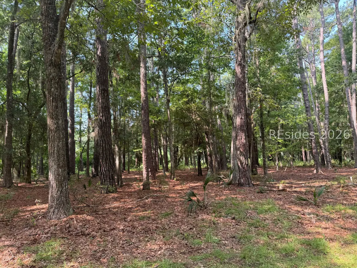 18 Captain Monroe Lane, Daufuskie Island, SC 29915 - Image #1