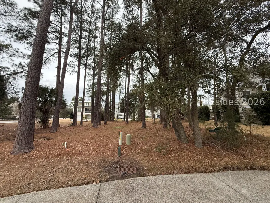 22 Welsh Pony Lane, Hilton Head Island, SC 29926 - #2