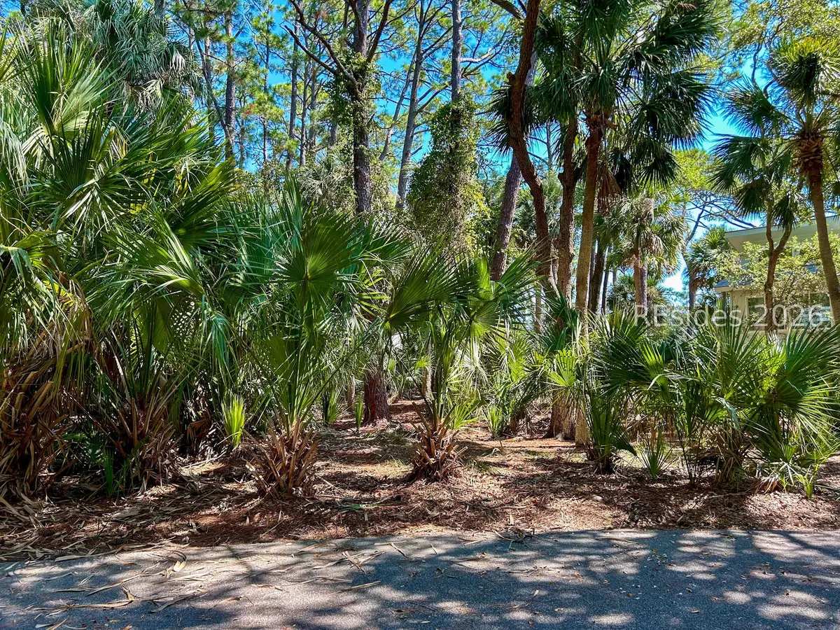 848 Marsh Dunes Road, Saint Helena Island, SC 29920 - #1