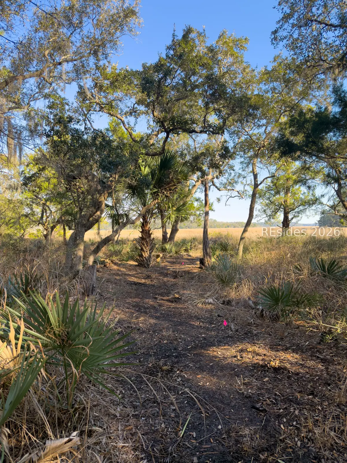 45 Huspah Court S, Seabrook, SC 29940 - #1