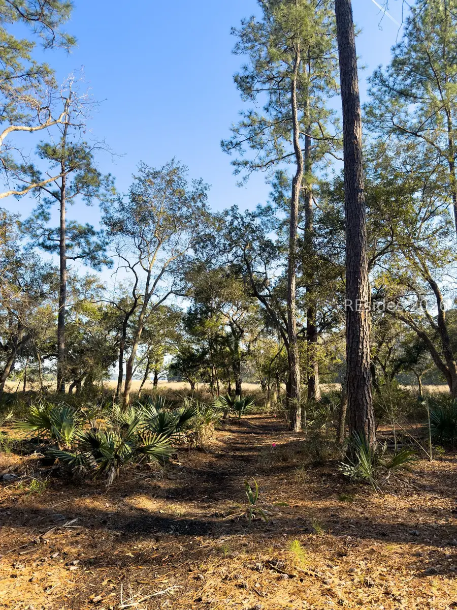 45 Huspah Court S, Seabrook, SC 29940 - #3