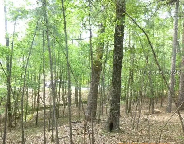 Lot 8 Block 15 Colleen Port, McCormick, SC 29835