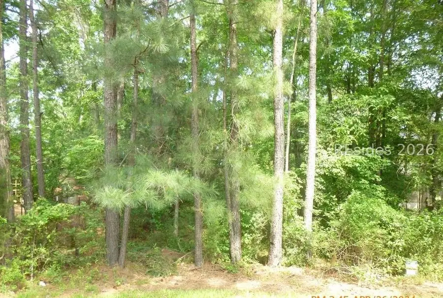 Lot 12 Block 46 Little River Drive, McCormick, SC 29835 - #3