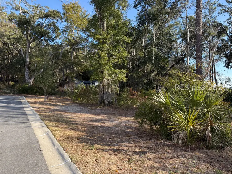 1 Shallow Run Lane, Beaufort, SC 29907 - #3