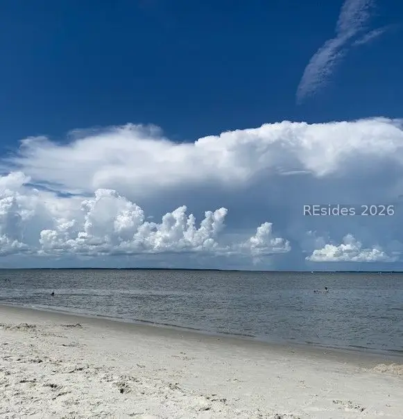 22 Carters Manor, Hilton Head Island, SC 29928 - #2