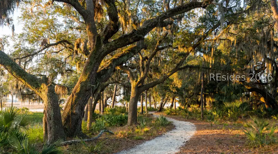 18 Inkberry Street, Bluffton, SC 29910 - #2