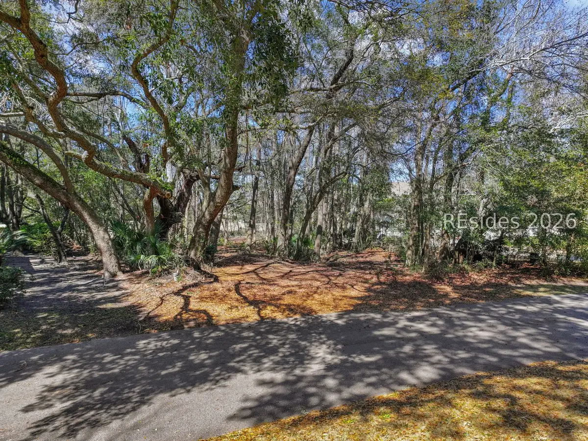 9 Margarita Court, Hilton Head Island, SC 29926 - #1