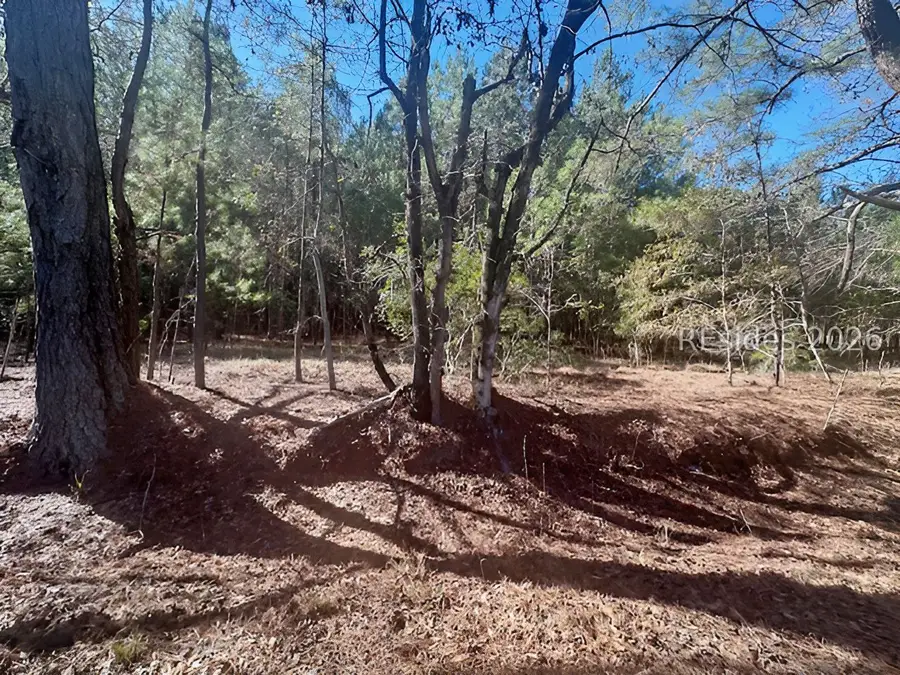 585 Bailey Mill Road, Ridgeland, SC 29936 - #2