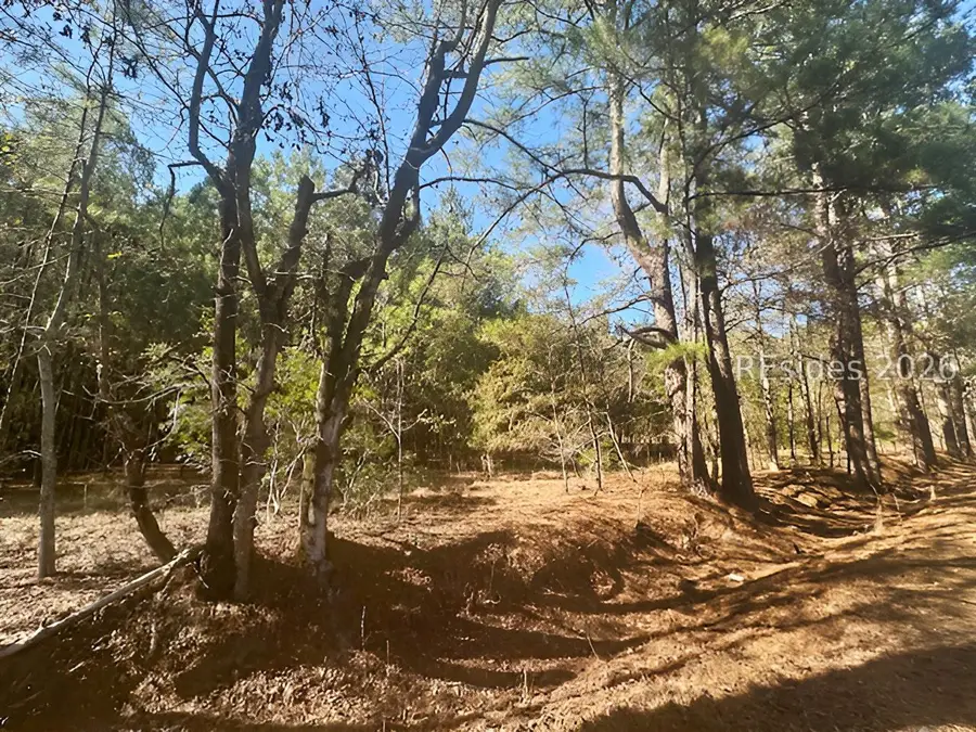 585 Bailey Mill Road, Ridgeland, SC 29936 - #3