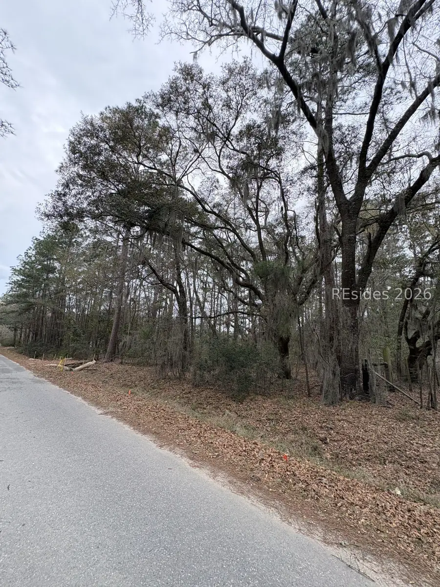 204 Palmetto Bluff Road, Bluffton, SC 29910 - #2