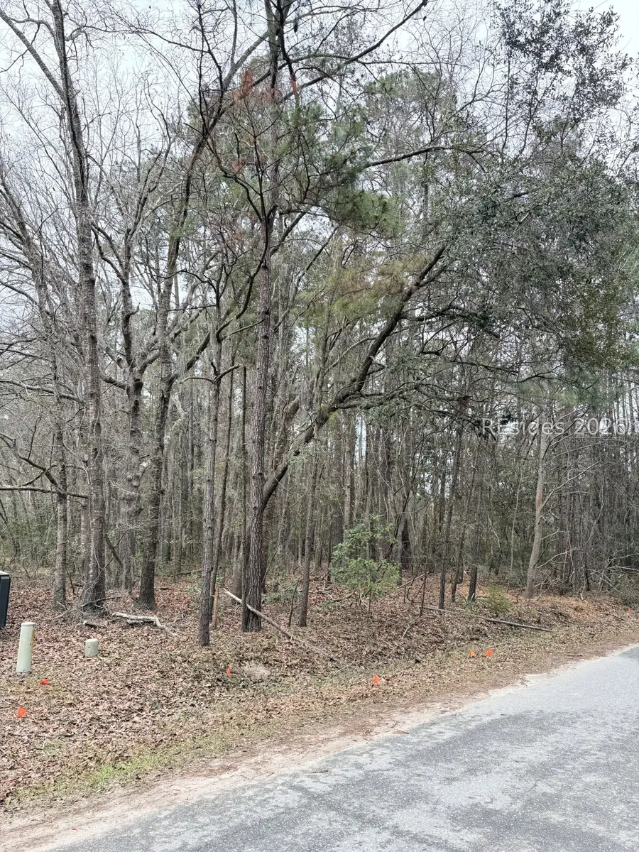 204 Palmetto Bluff Road, Bluffton, SC 29910 - #3