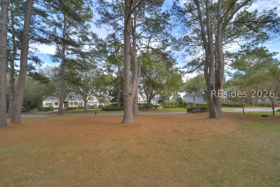 323 Bamberg Drive, Bluffton, SC 29910 - #2