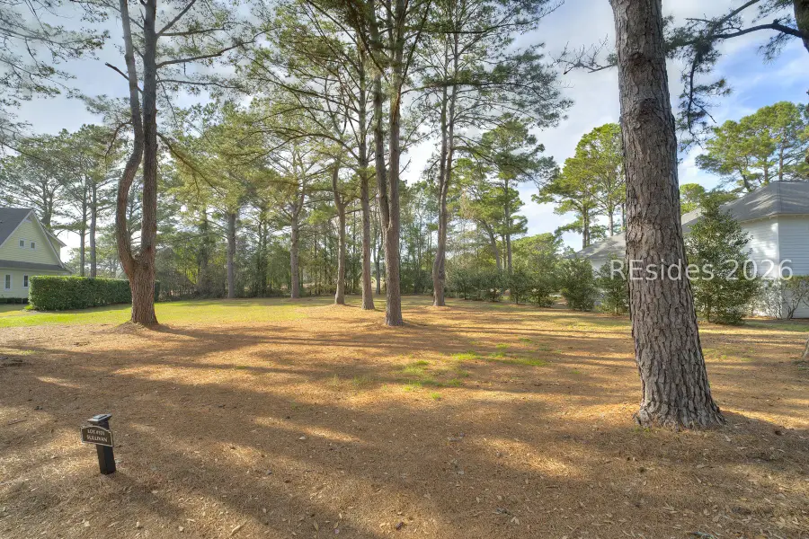 323 Bamberg Drive, Bluffton, SC 29910 - #3
