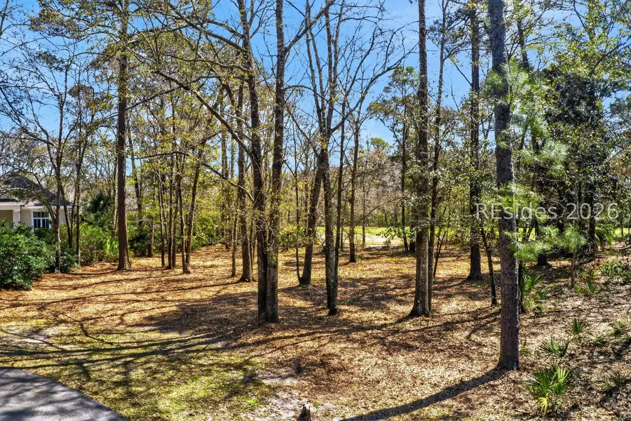 4 Gordonia Tree Court, Hilton Head Island, SC 29926 - #3