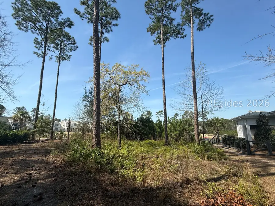 145 Red Ochre Road, Bluffton, SC 29910 - #2