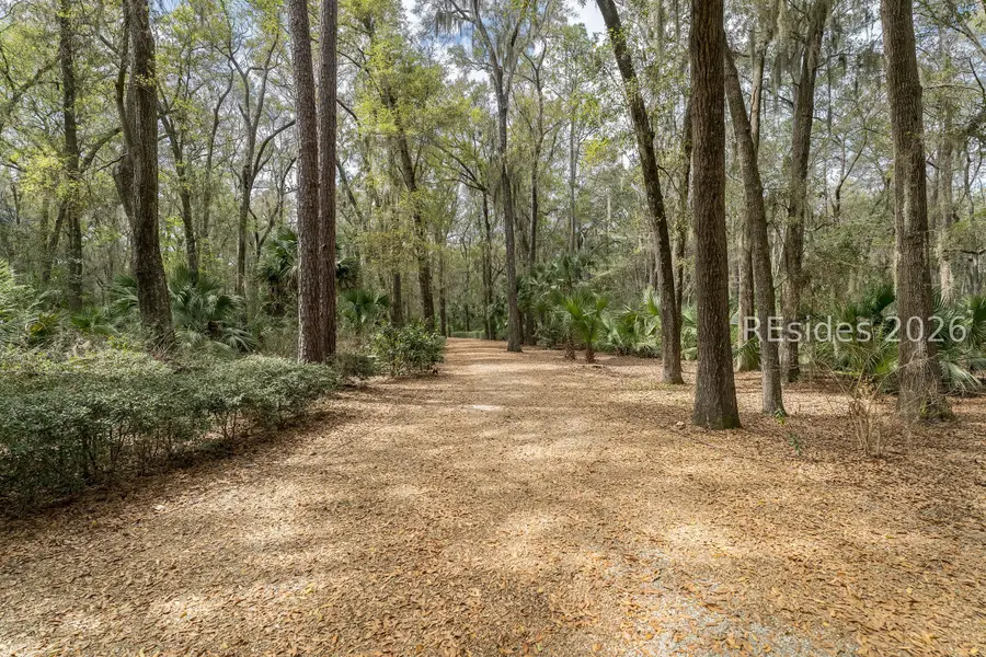 206 Spring Island Drive, Okatie, SC 29909 - #2