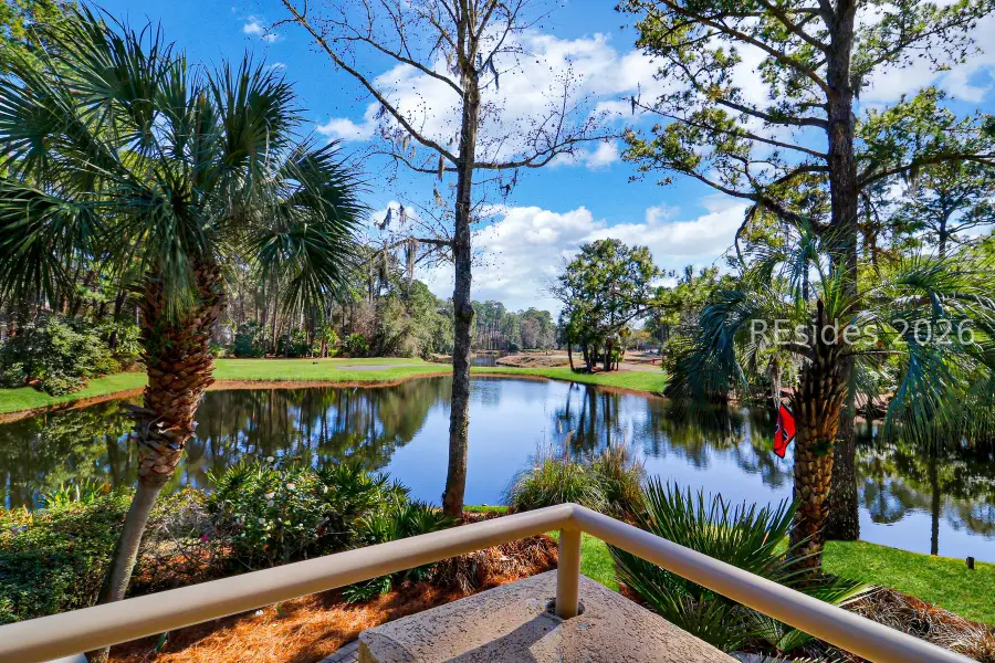 6 Dalton Court, Hilton Head Island, SC 29928 - #2