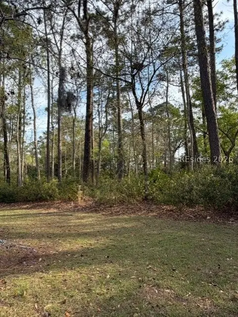 9 Blake Place, Hilton Head Island, SC 29928 - #3
