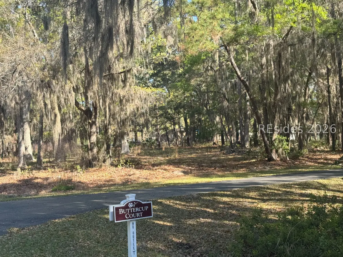 3 Buttercup Court, Daufuskie Island, SC 29915 - #1