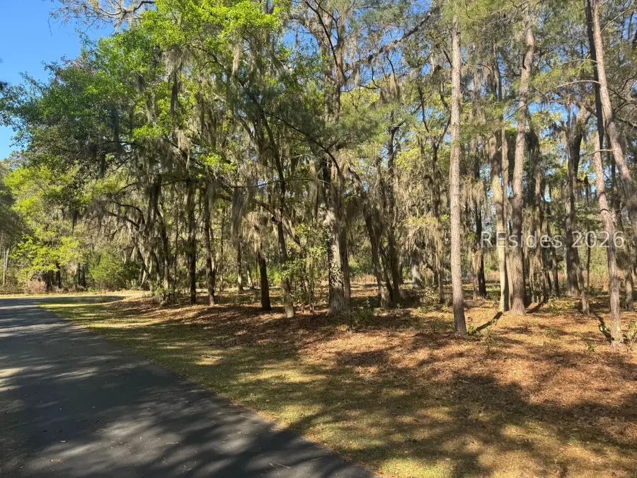 3 Buttercup Court, Daufuskie Island, SC 29915 - #2