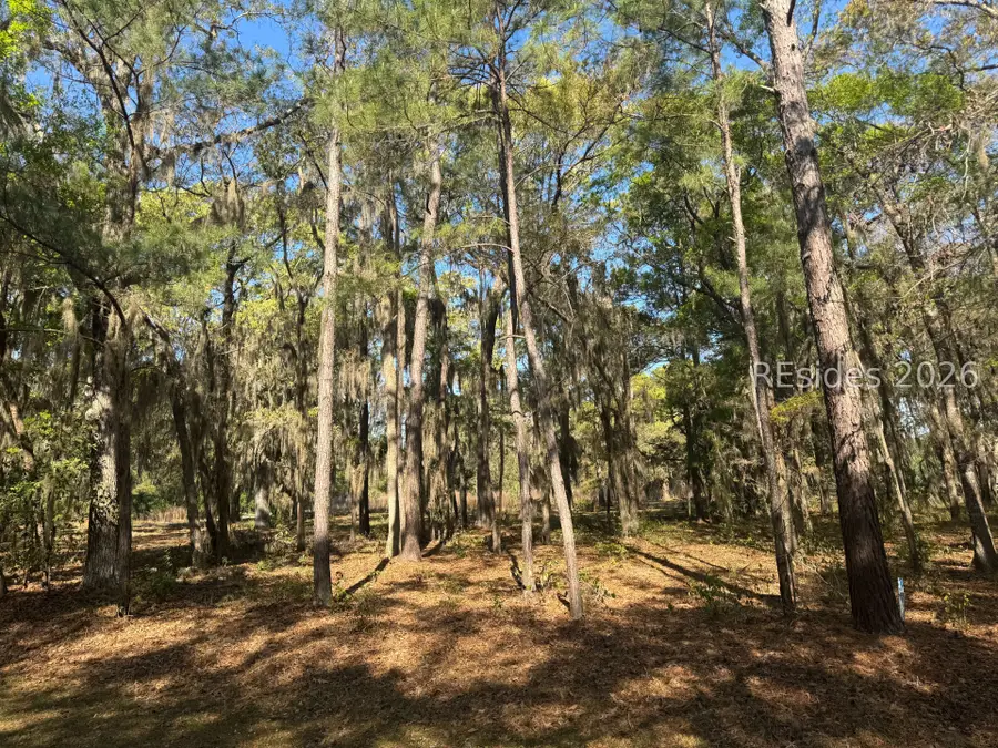 3 Buttercup Court, Daufuskie Island, SC 29915 - #3
