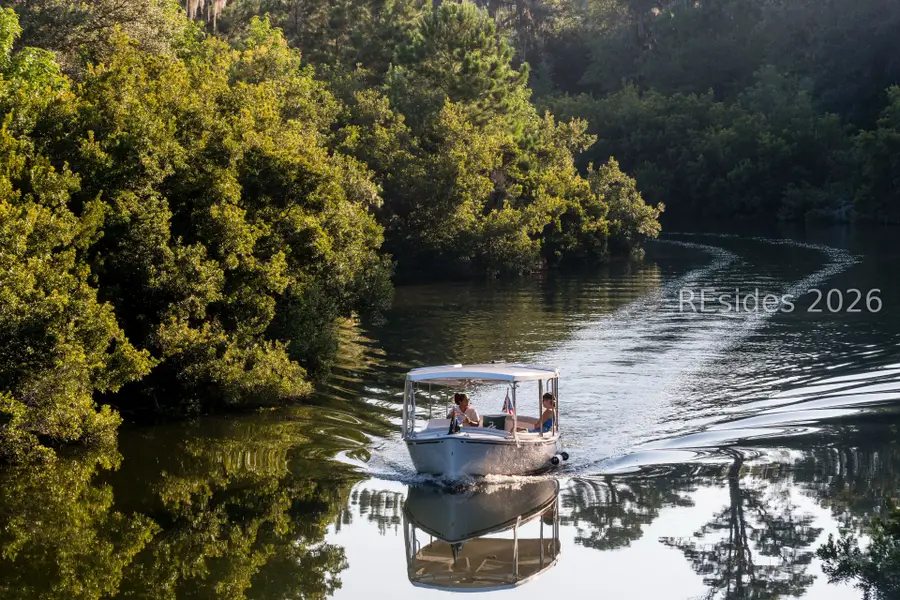 11 Liatris Street, Bluffton, SC 29909 - #2