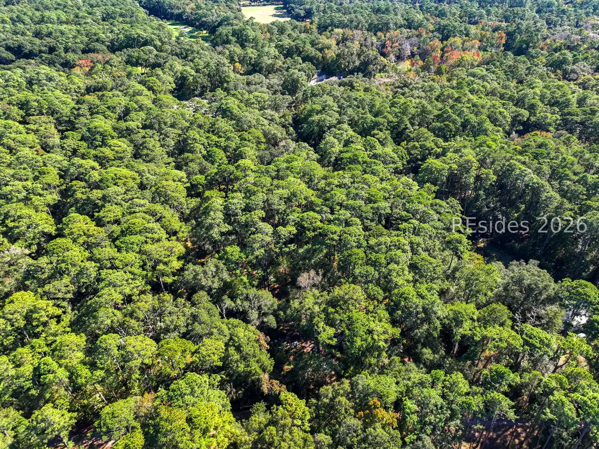 293 Old Haig Point Road, Daufuskie Island, SC 29915 - #1