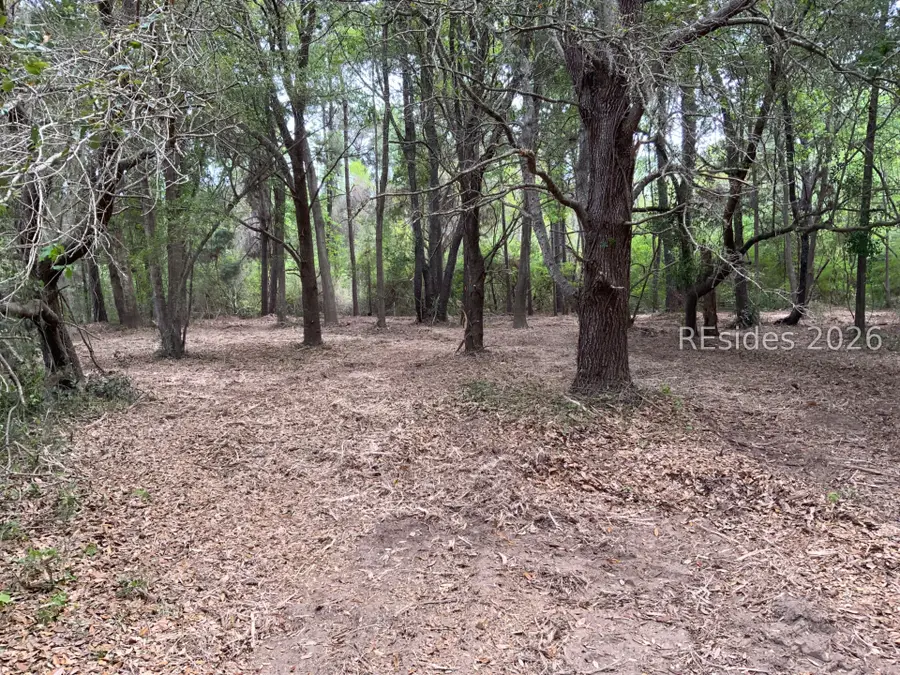 41 Pearl Harbor Lane, Saint Helena Island, SC 29920 - #2