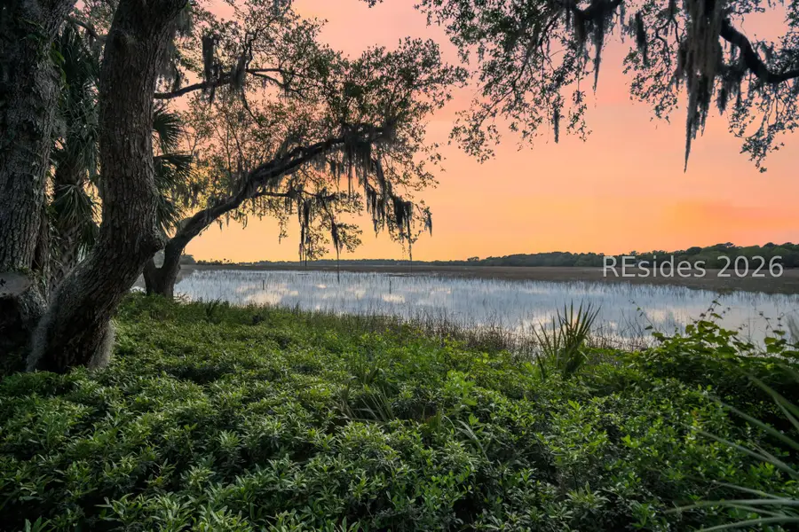 25 Seagrass Landing Court, Hilton Head Island, SC 29926 - #3