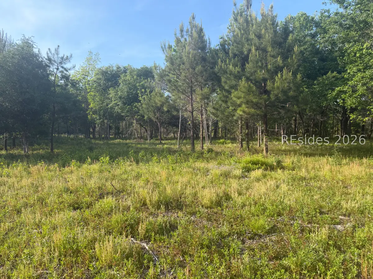 177 Spann Circle, Seabrook, SC 29940 - #1