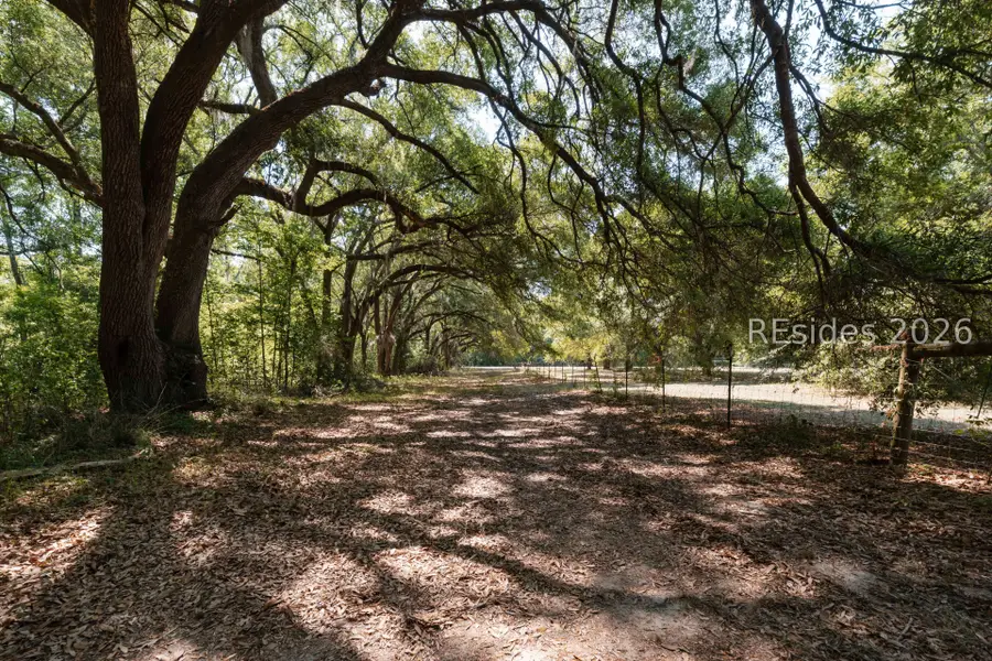 128 St Mark Road, Allendale, SC 29810 - #3