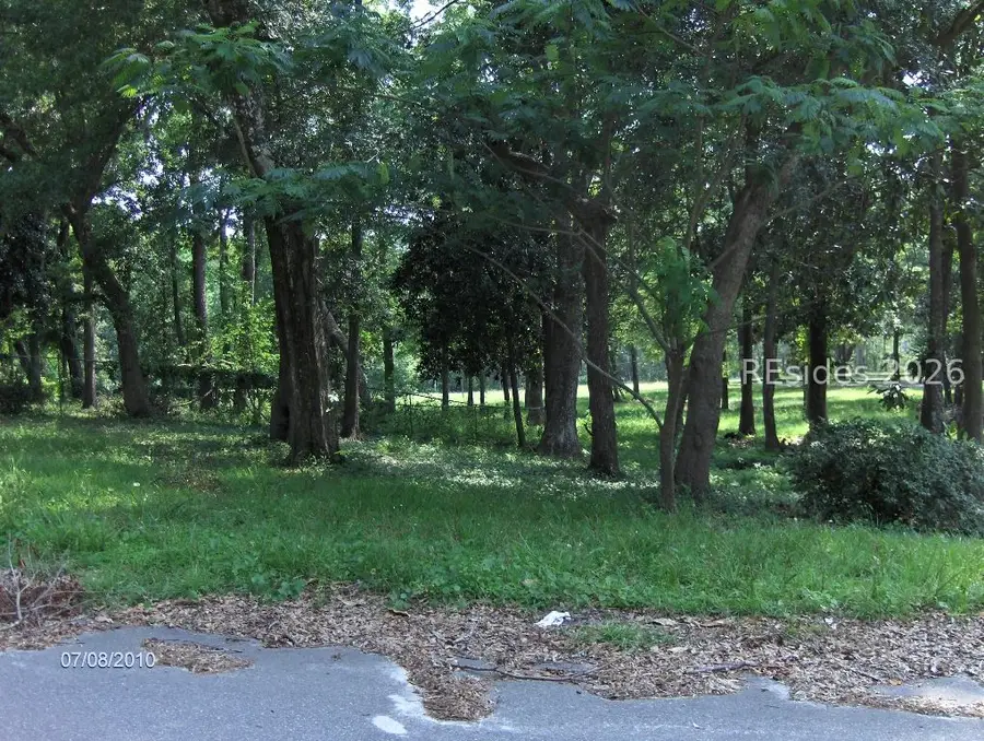 23 Donaldson Camp Road, Beaufort, SC 29906 - #3
