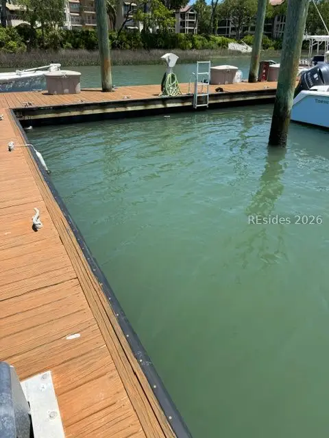 118 Villages Of Skull Creek, Hilton Head Island, SC 29926 - #2