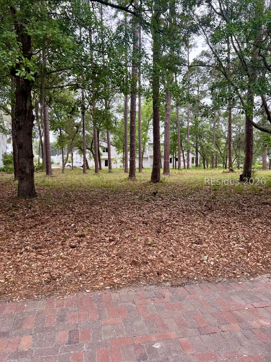 36 Red Knot Road, Bluffton, SC 29910 - #3