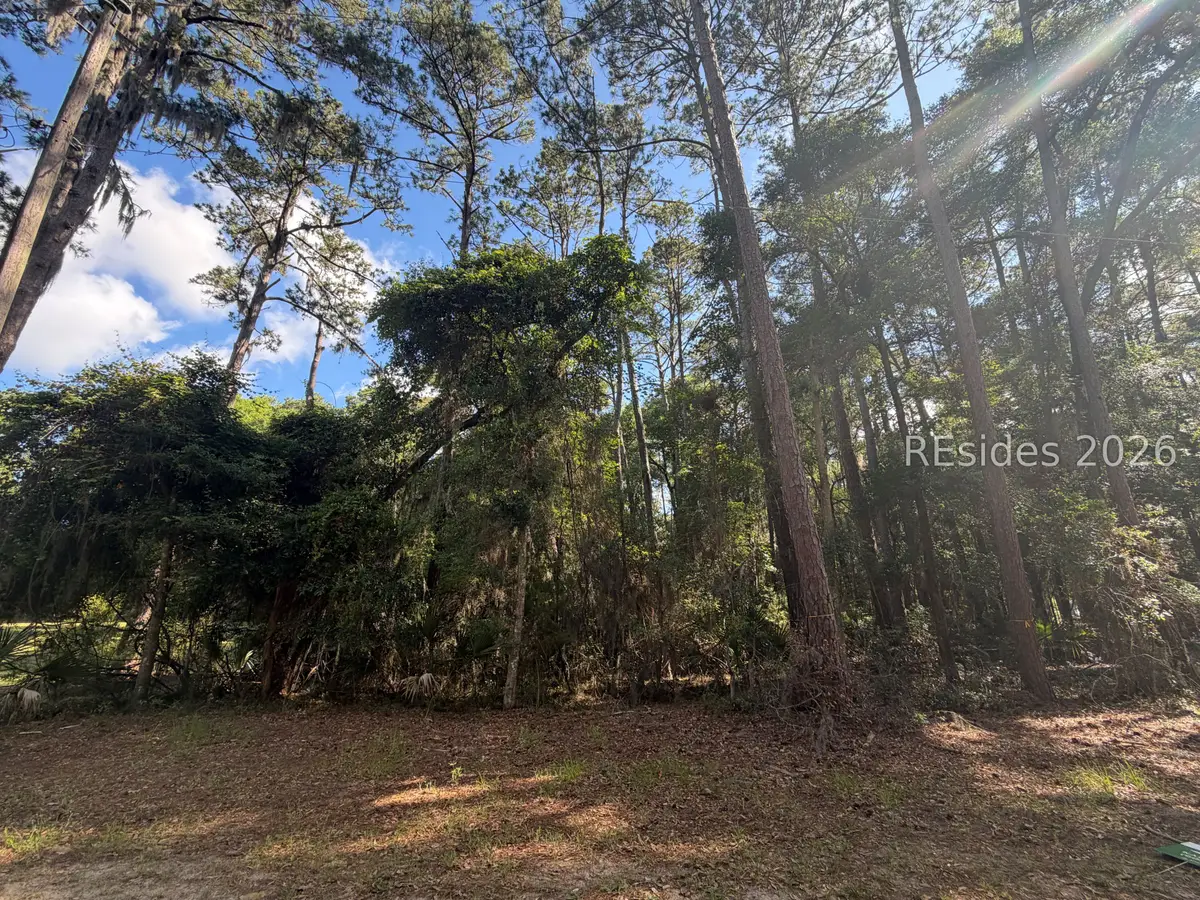 5 Ally Court, Daufuskie Island, SC 29915 - #1
