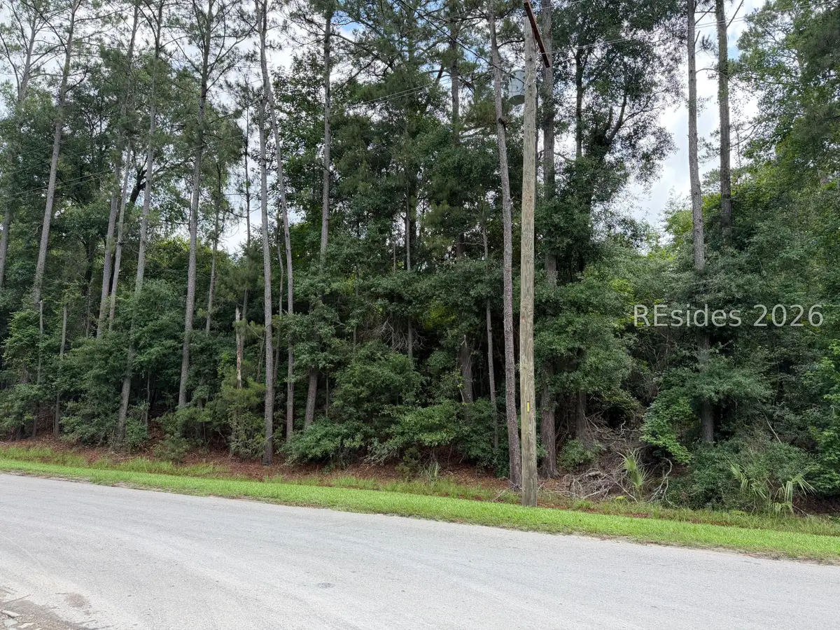 tbd Lowcountry Dr, Ridgeland, SC 29936 - #1