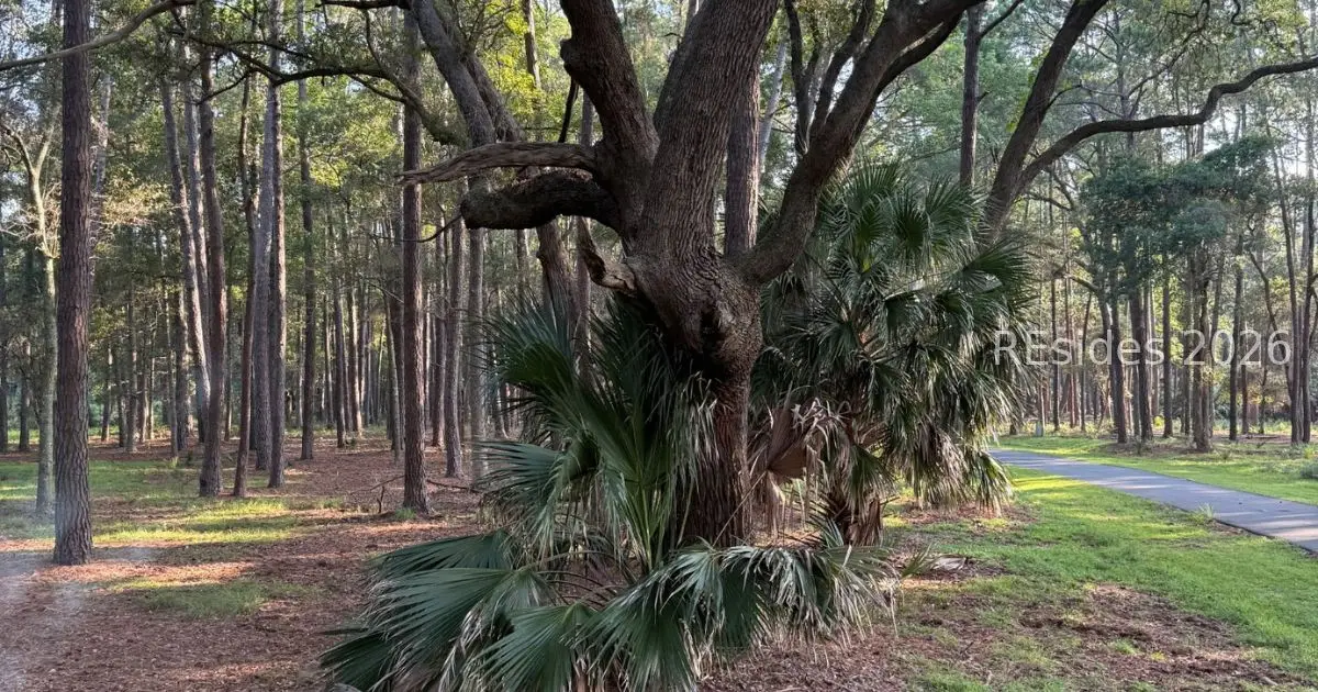 87 Martinangel Lane, Daufuskie Island, SC 29915 - #1