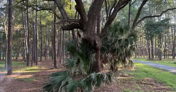 87 Martinangel Lane, Daufuskie Island, SC 29915