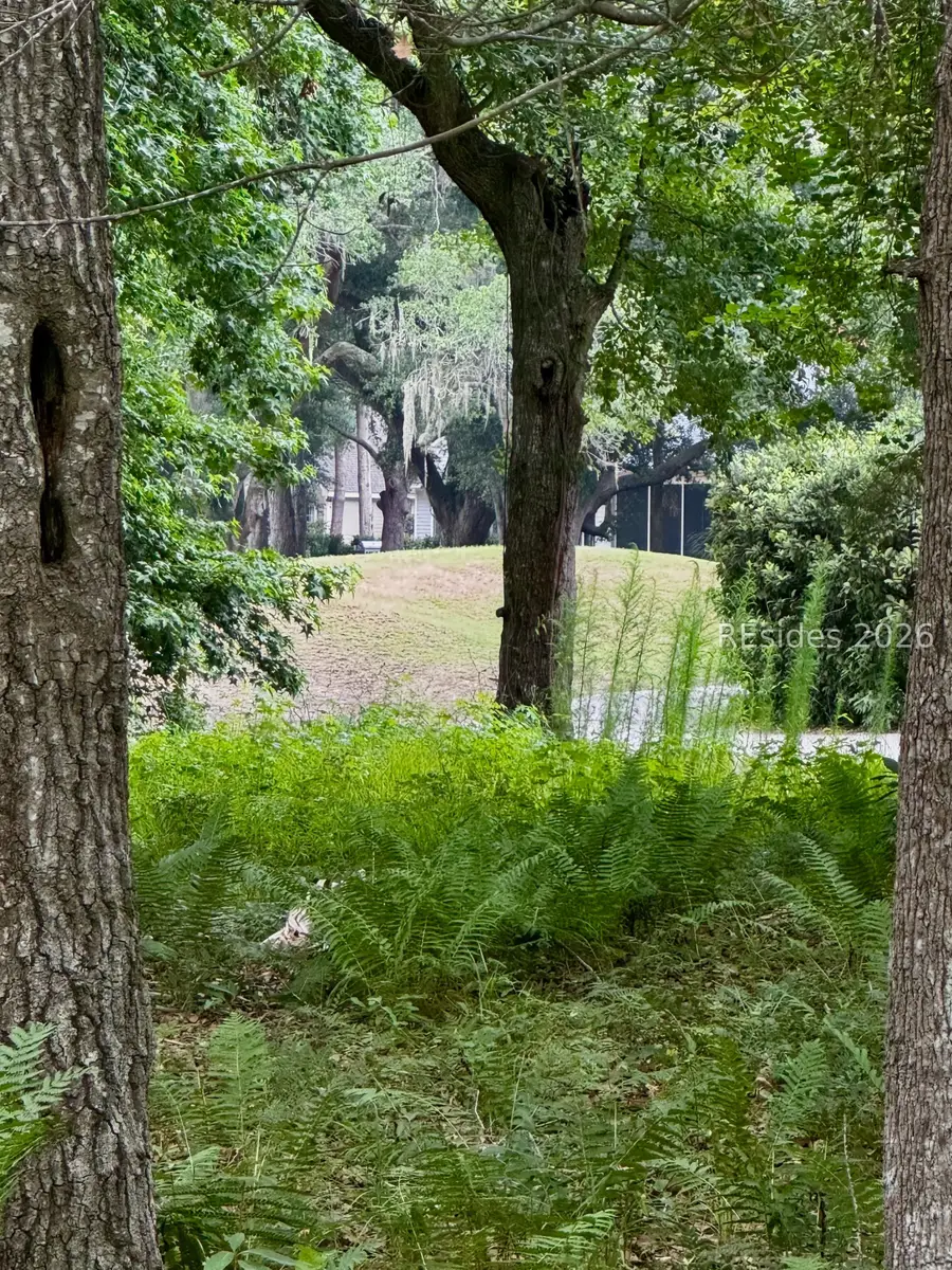 29 Tucker Ridge Court, Hilton Head Island, SC 29926 - #2