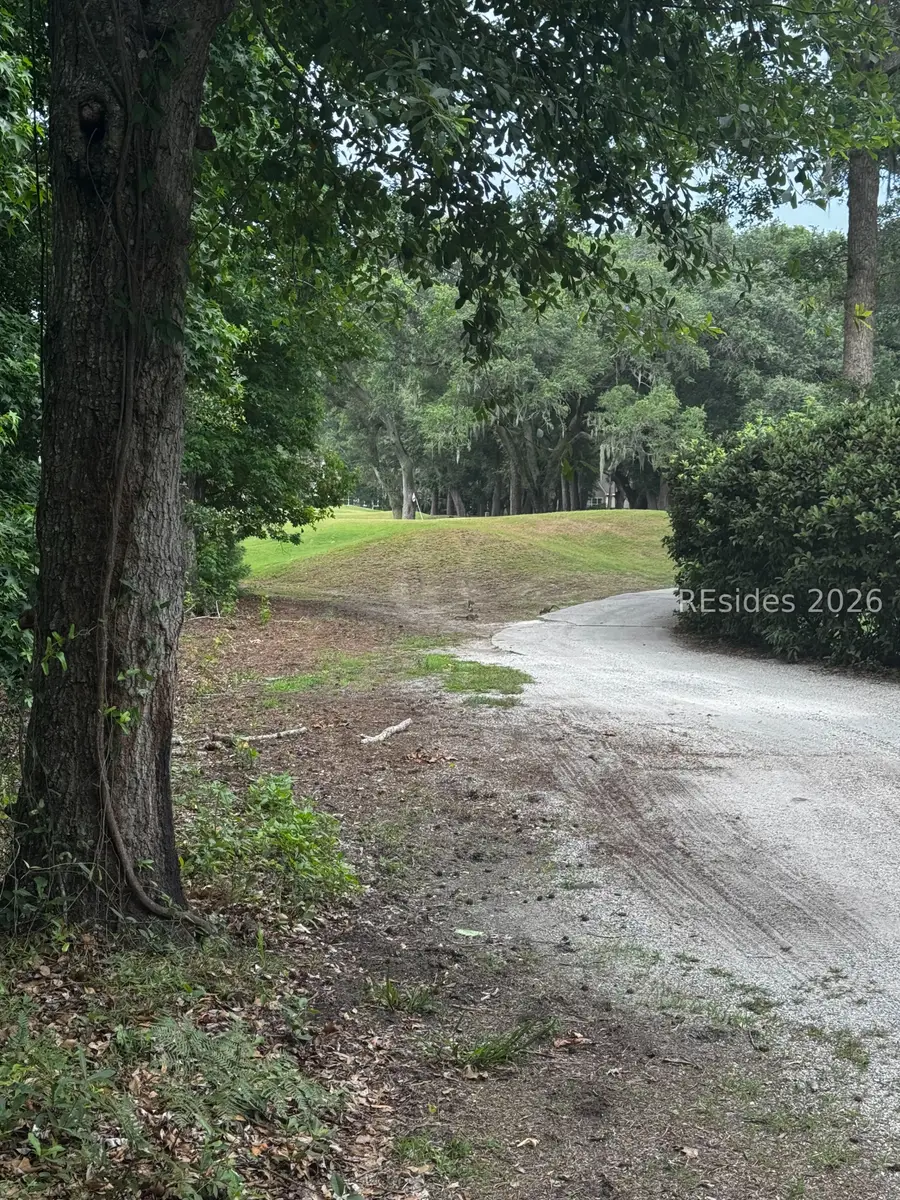 29 Tucker Ridge Court, Hilton Head Island, SC 29926 - #3