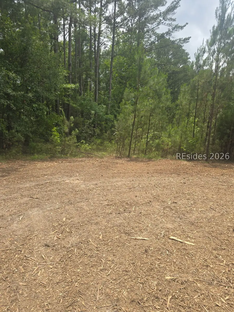 tbd Firetower Rd,, Ridgeland, SC 29936 - #2