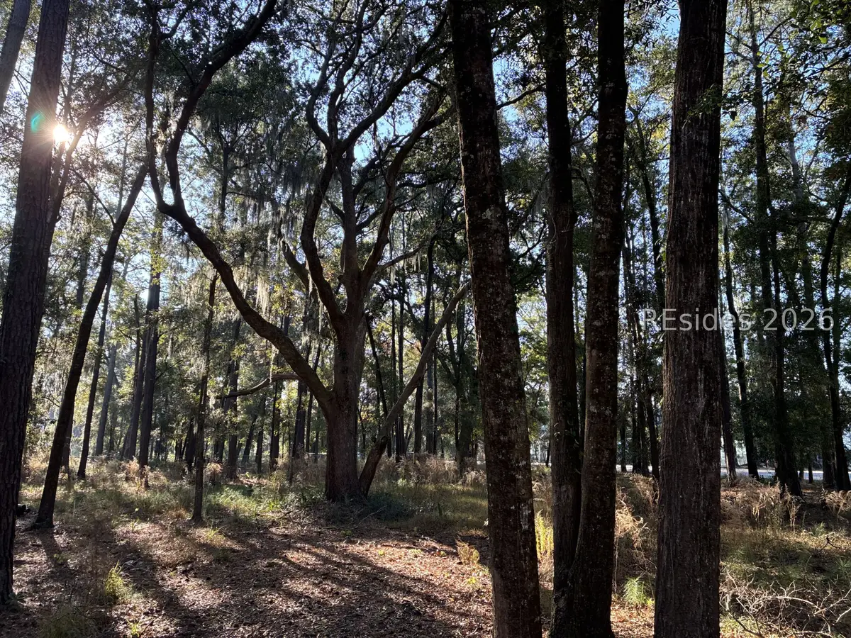 6008 Green Pond Drive, Beaufort, SC 29906 - #1