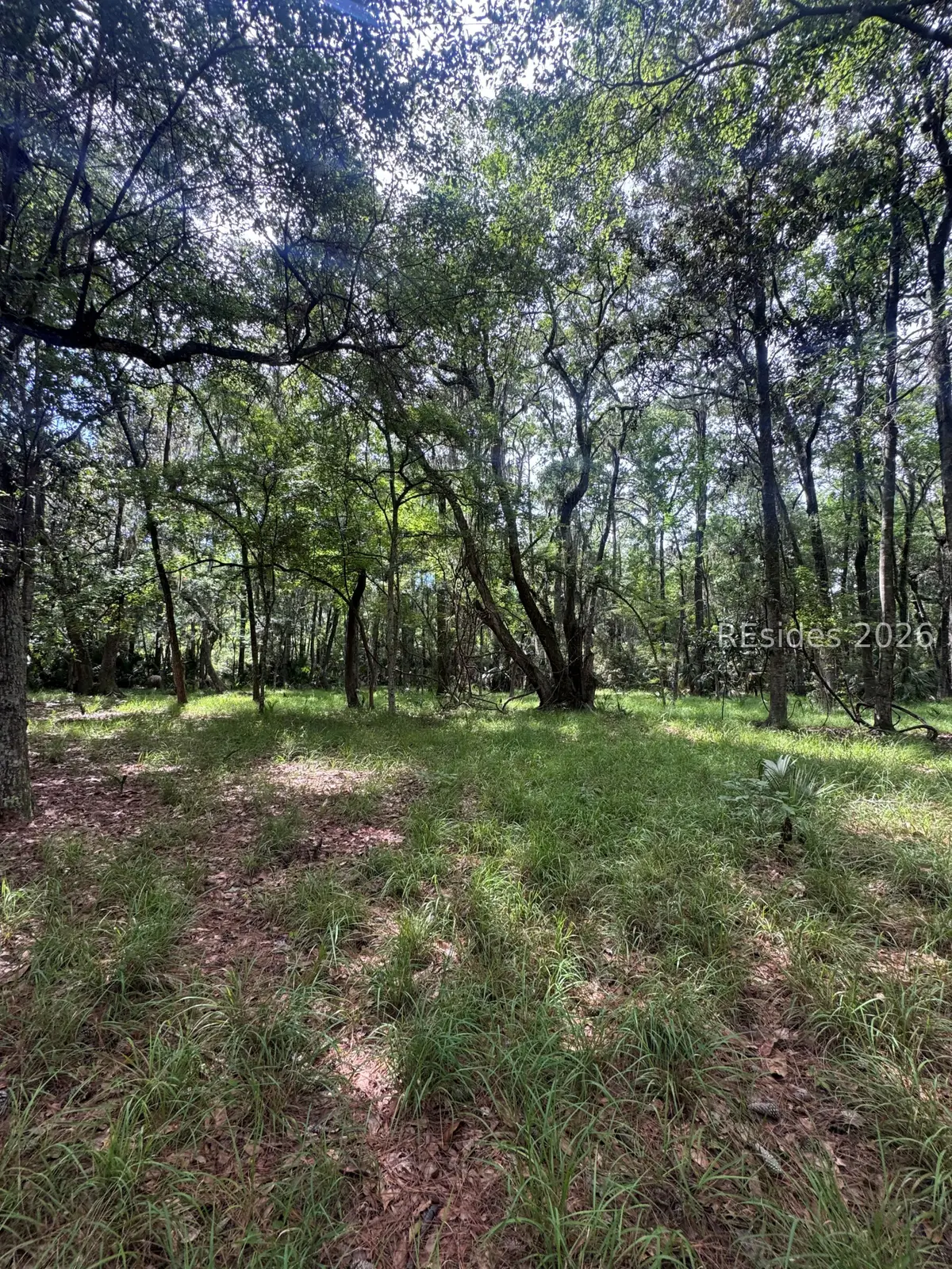 5 Stoddard Court, Daufuskie Island, SC 29915 - #1