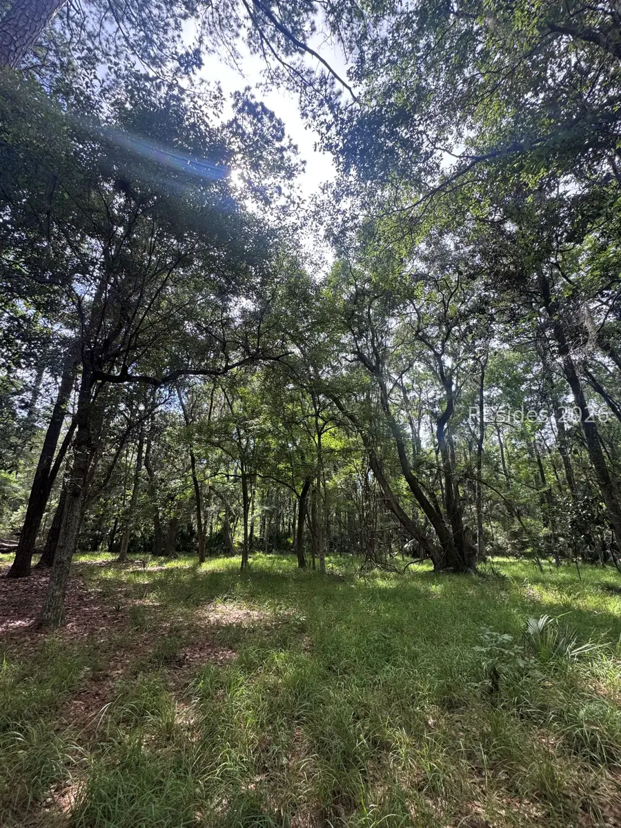 5 Stoddard Court, Daufuskie Island, SC 29915 - #2