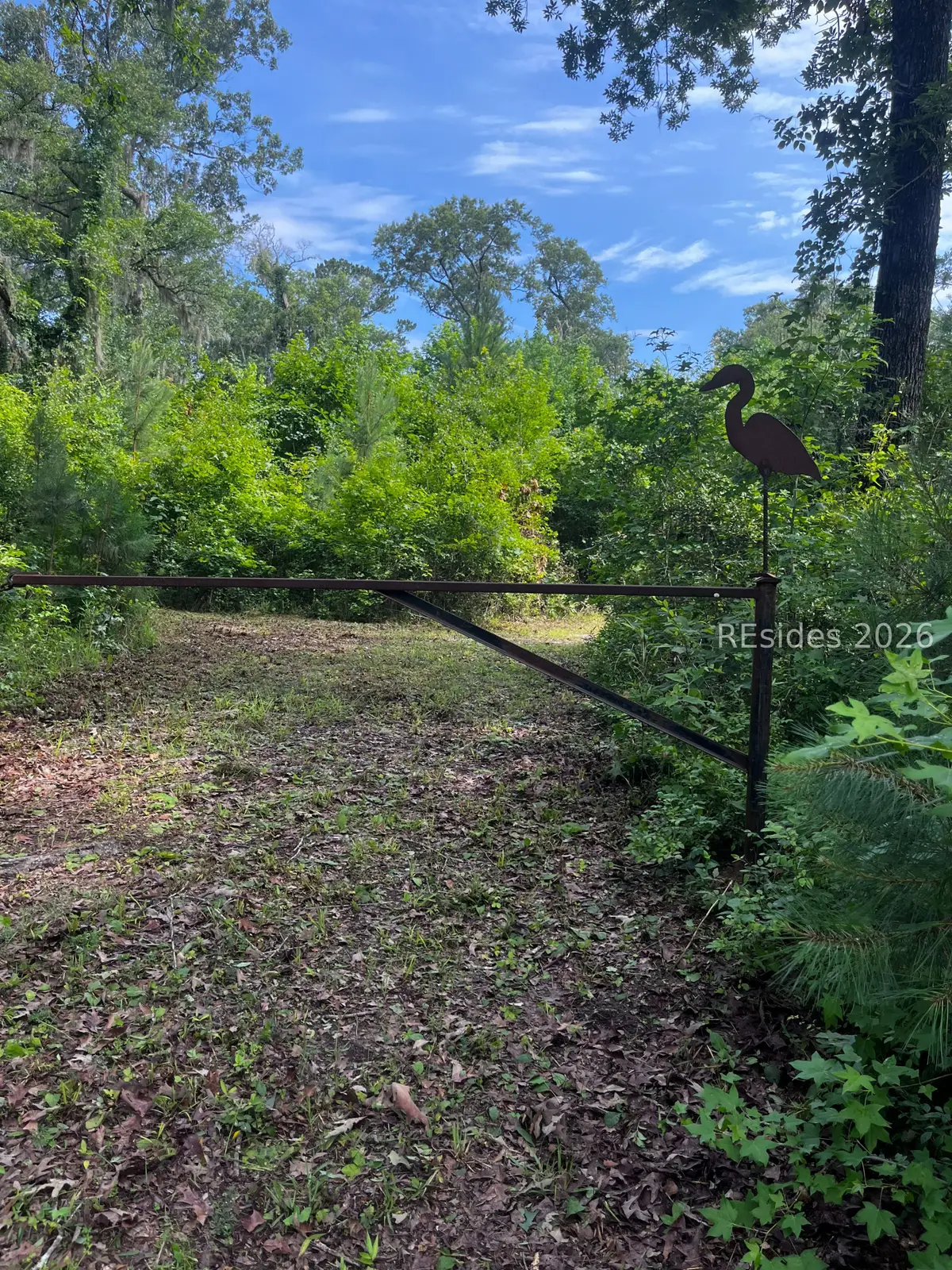 211 Waters Court, Walterboro, SC 29488 - #1